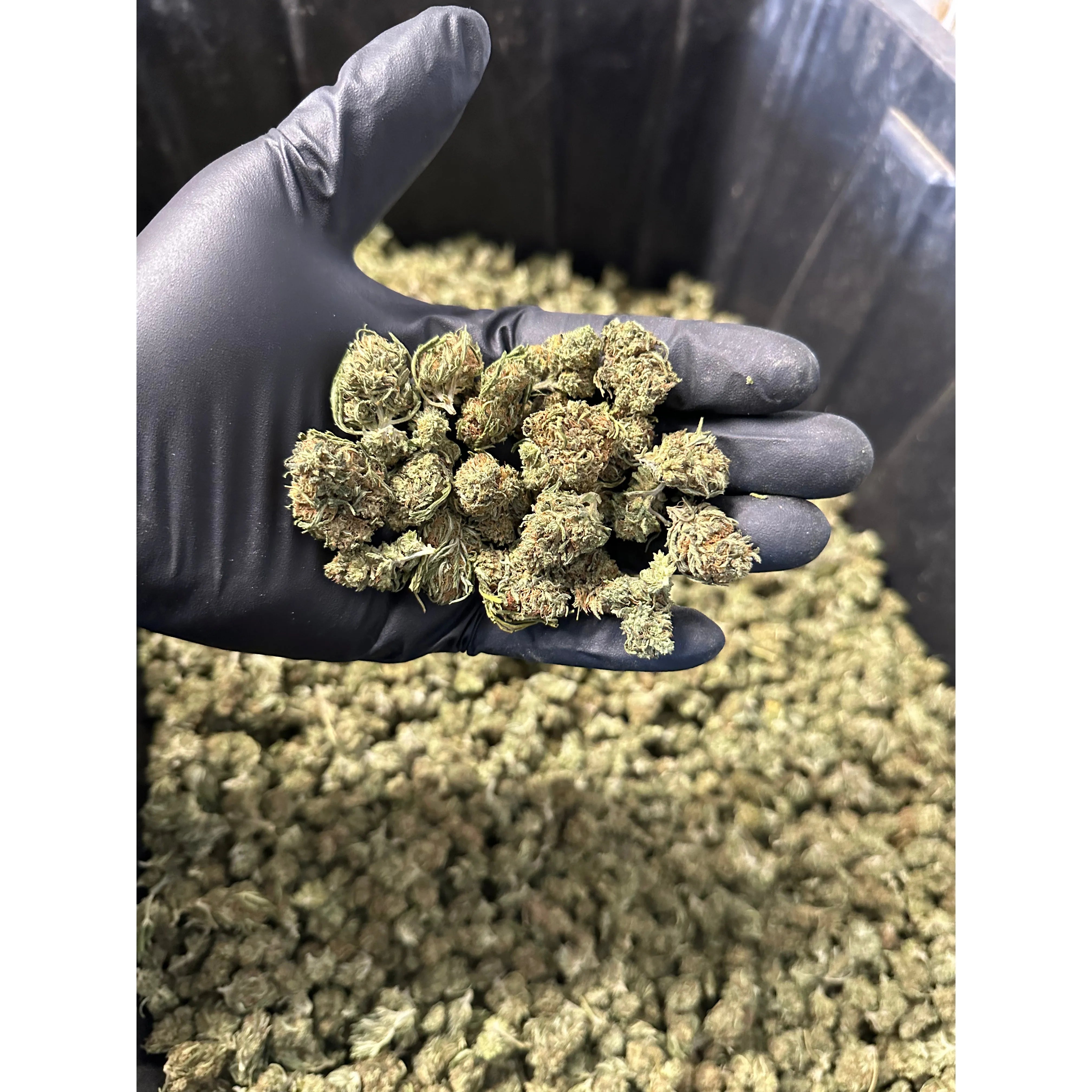 Cake Berry Hemp Flower Smalls